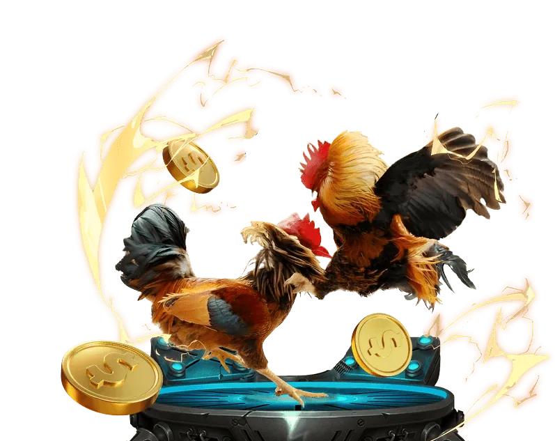 Hoàn trả cao hơn mỗi ngày